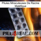 Pilules Miraculeuses De Racine Maléfique 30